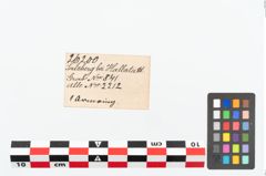 Etikett zu Bronzearmreif (NHMW-PRAE-026200)